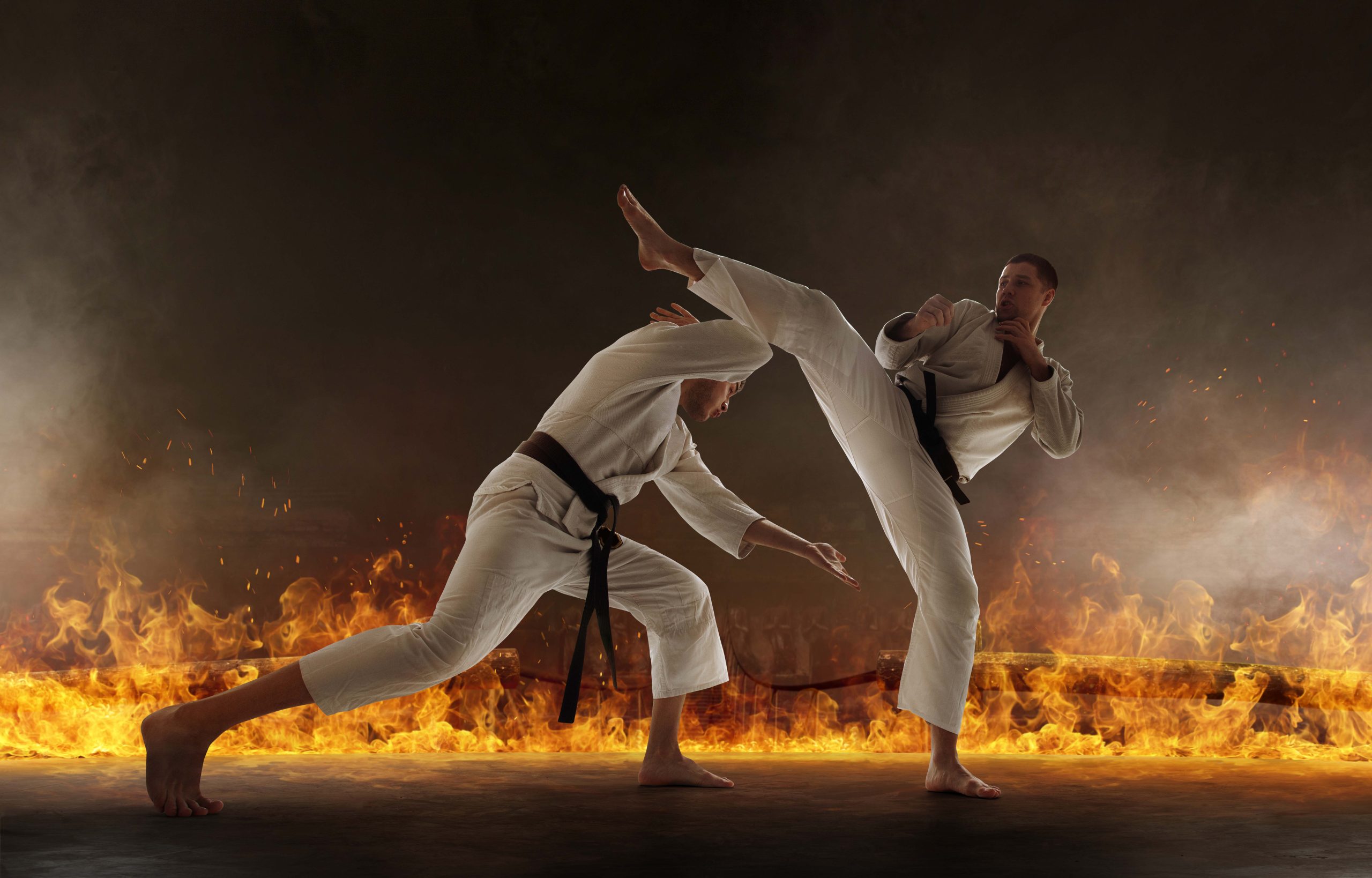 karate-fighters(1)